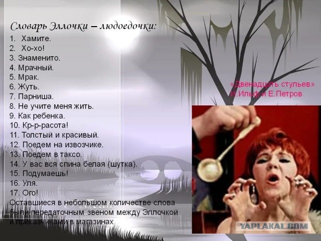 Британские ученые выяснили, что грибы способны общаться, и в их словарном запасе есть около 50 слов