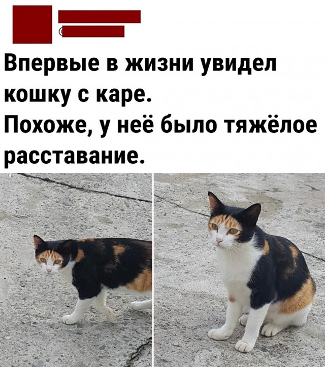 Так себе картинки 07.05.22