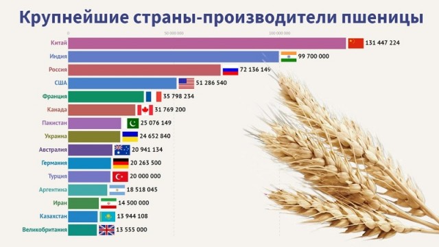 Мировых запасов пшеницы осталось примерно на 10 недель — эксперт
