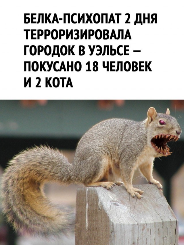 Так себе картинки 30.05.22