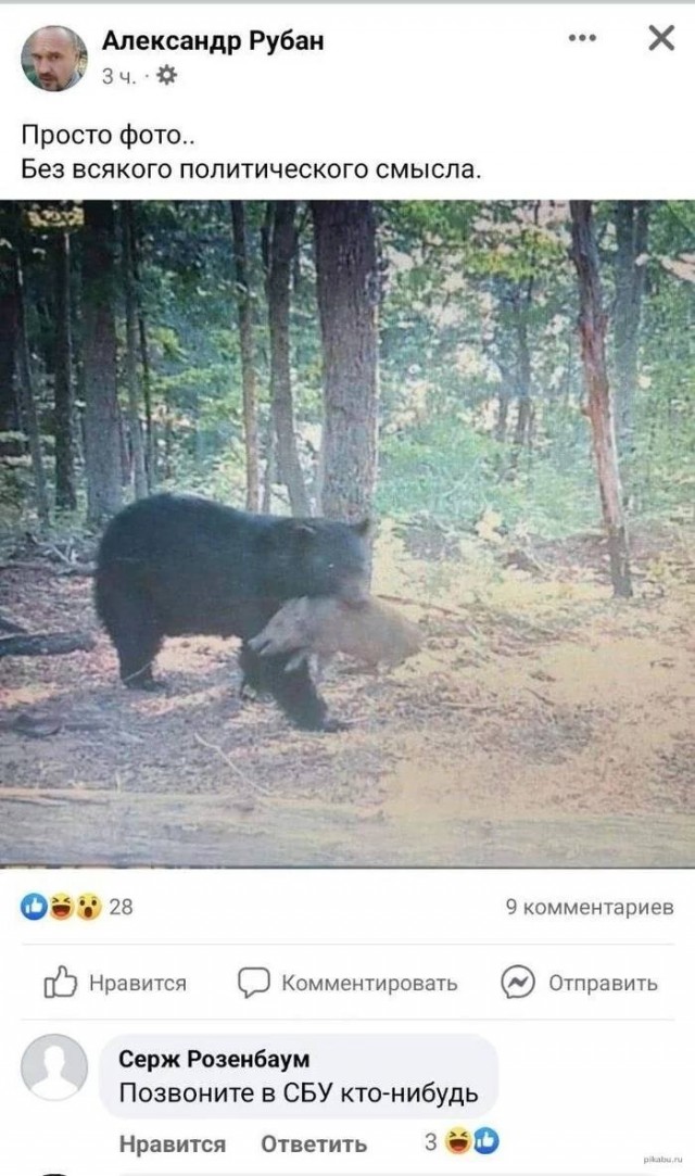 Юмор в картинках и без