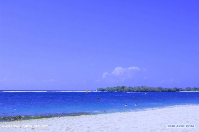 Они живут только 40 лет