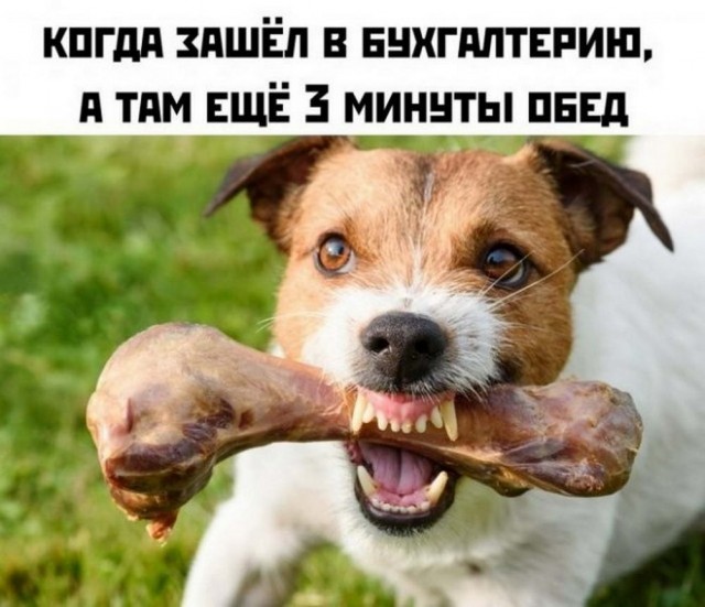 Картинки и мемы, всем хороших выходных