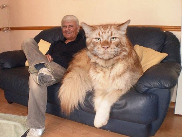 Леденящий душу пиз@ец