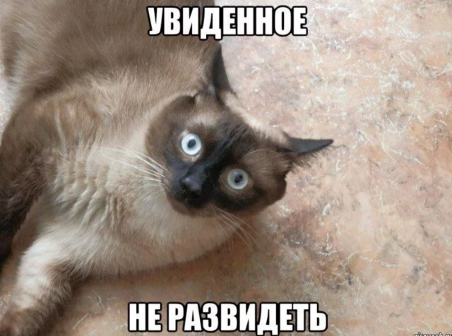 Очень занимательное видео