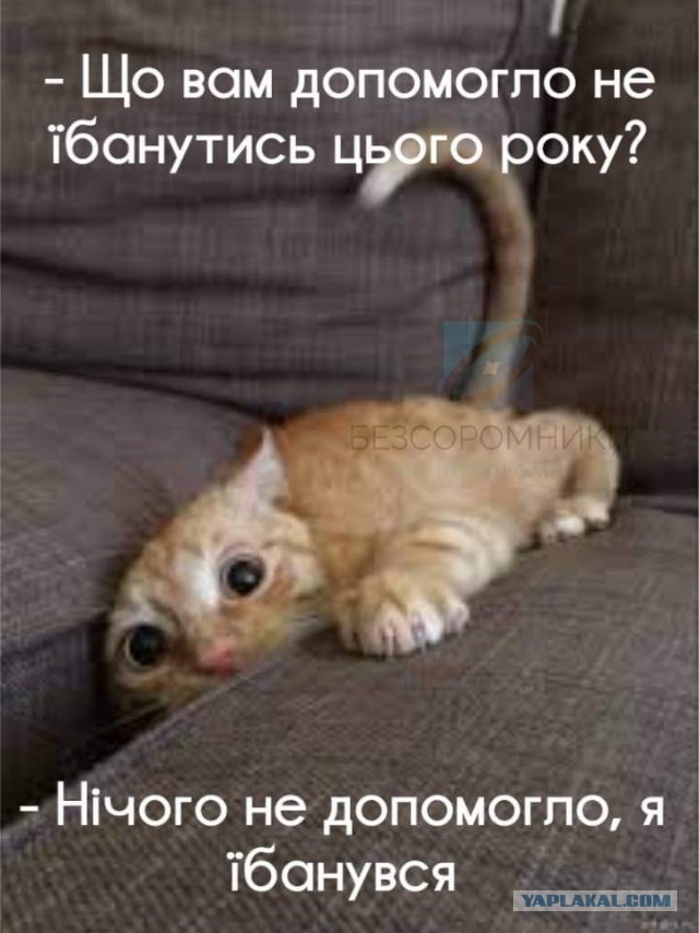 Итоги года