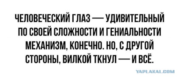 Приколы (баяны)