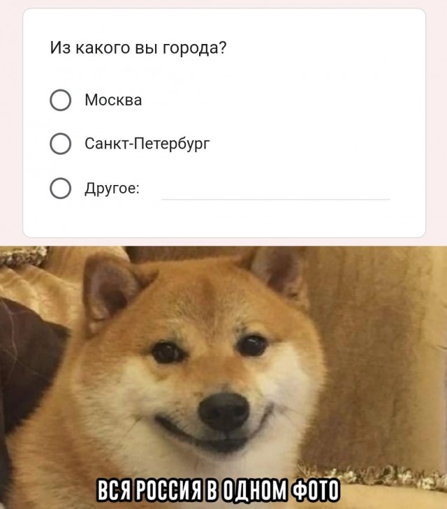 Очередная сборка картинок! Кому баян, кому гармонь, а кому в новинку!