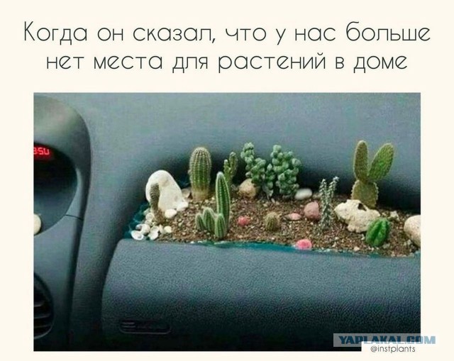 Жить ли с РСП?