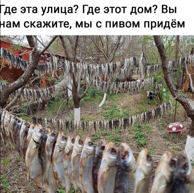 Так себе картинки 21.05.23