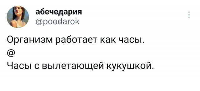 Победная поступь идиотизма по планете – том 17