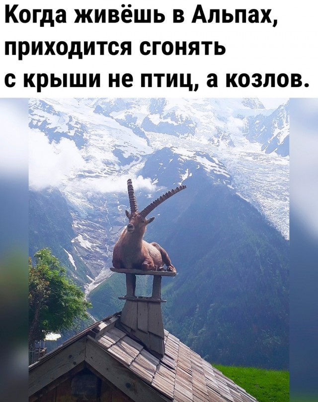 Так себе картинки 12.07.23