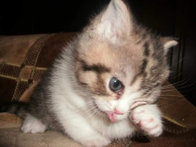 Ты только приезжай. Хоть иногда...