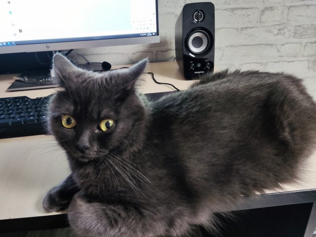 Рыжему...