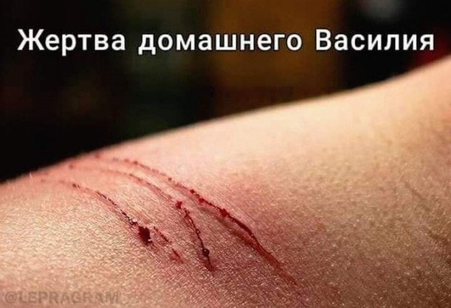 Пятничное улыбательное