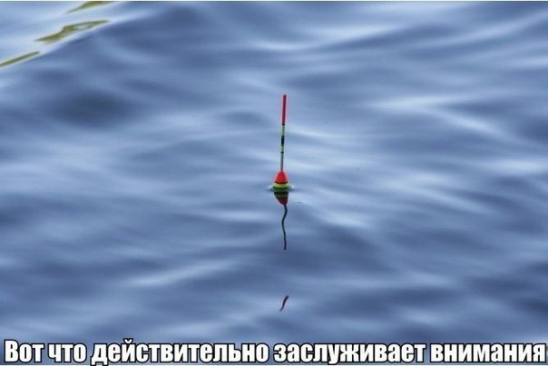 Отлично сказано..