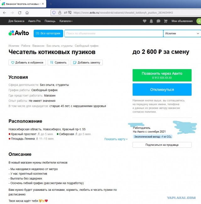 Идеальной работы не существует, говорили они: Девушка показала как проходит рабочий день кото-няни