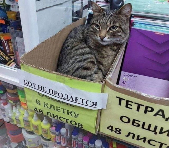 Завалялось тут случайно немного забавных картинок