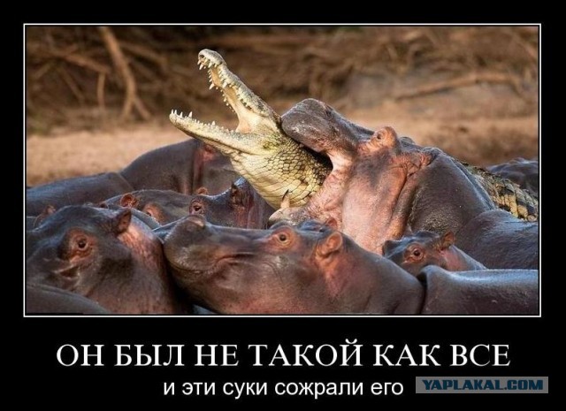 Мертвый аналитик четыре дня просидел в офисе