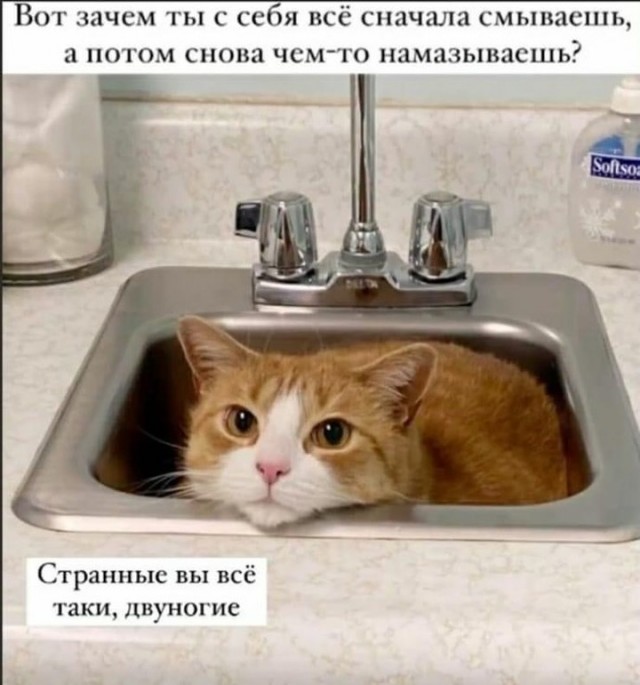 Завалялось тут случайно немного забавных картинок