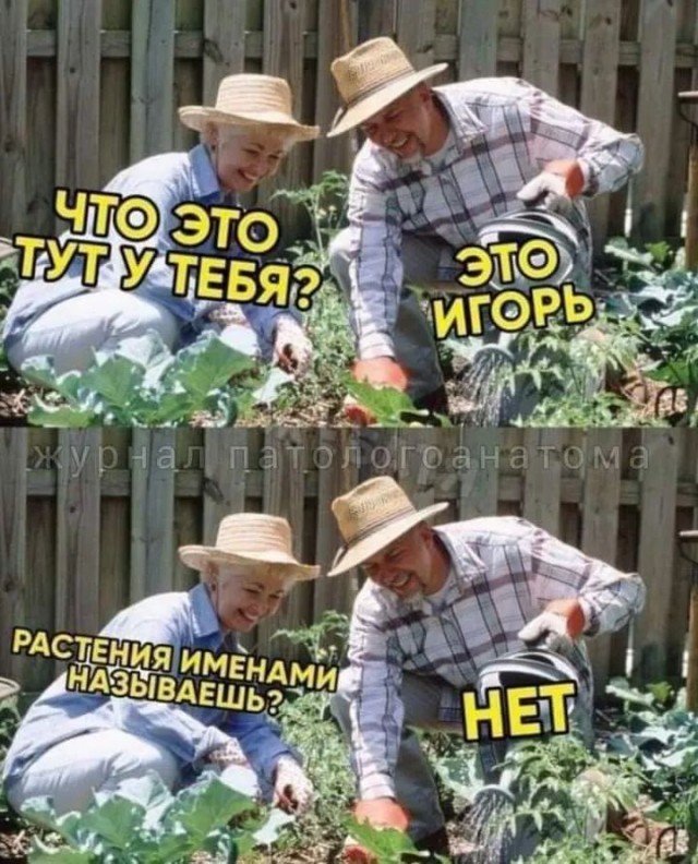 Завалялось тут случайно немного забавных картинок
