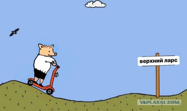 Новые цены на крепкие напитки