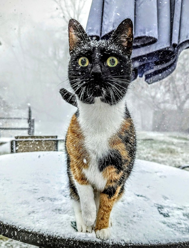 Ей нравится снег