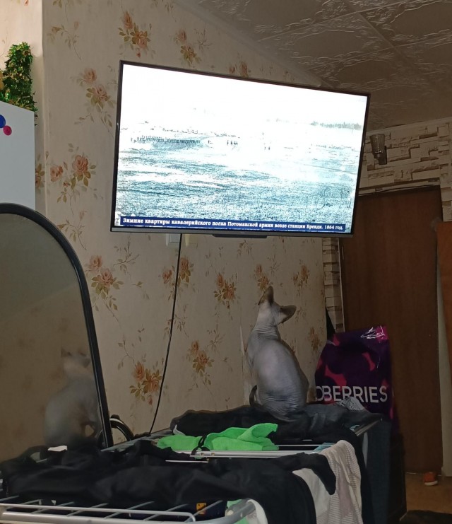 Ты что, кожаный, совсем оборзел?