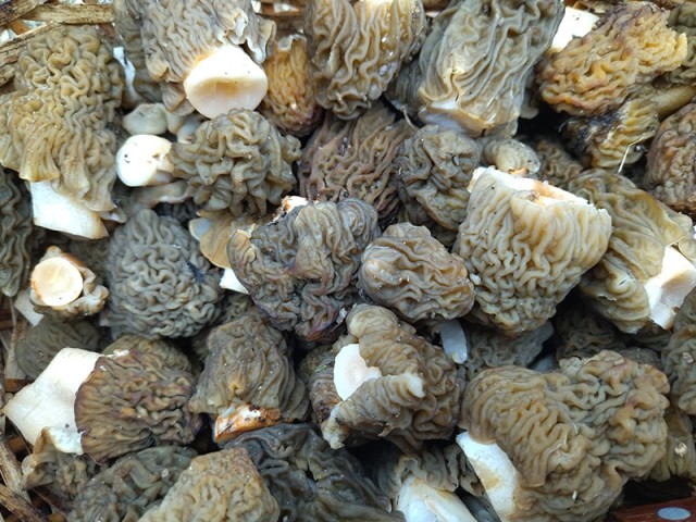 Литературная беседка v.1