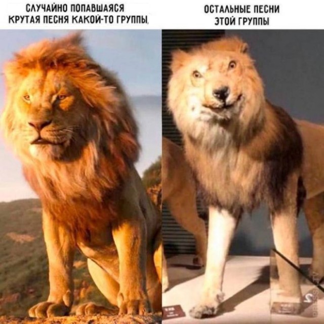 Веселые картинки в понедельник (24.03)