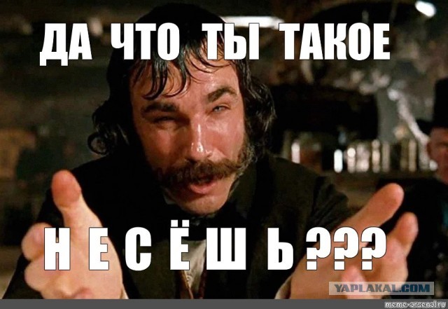 Депутаты Госдумы одобрили поправки, разрешающие усыплять бездомных животных