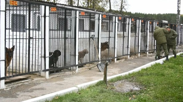 Через сколько лет можно копать на месте старой выгребной/фекальной ямы?⁠⁠