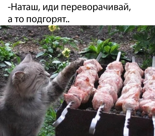 Так себе картинки 03.05.25