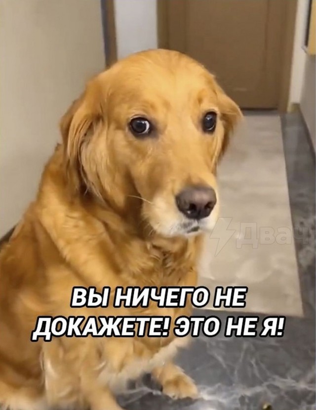Это подстава