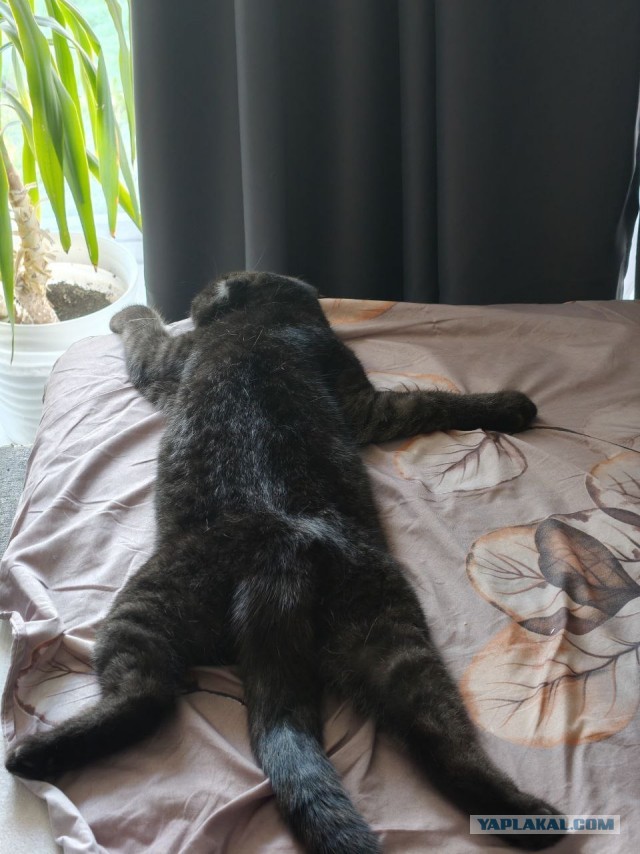 Ура! На дачу!