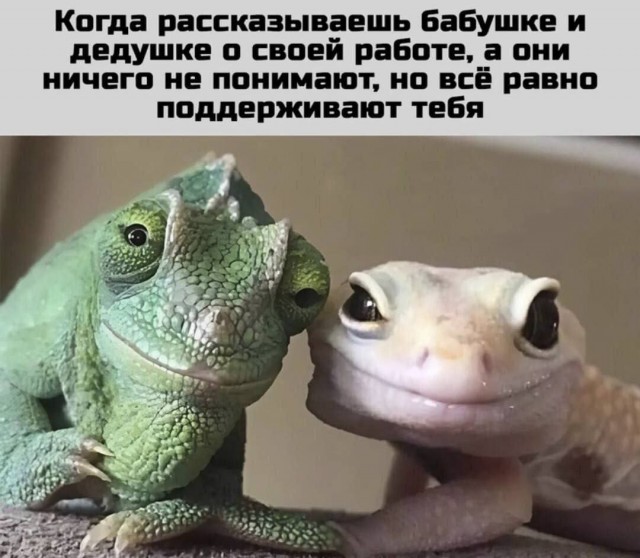 Картинки с надписями
