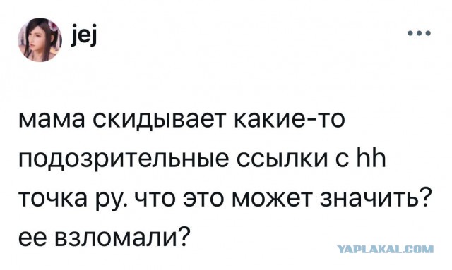 Веселые картинки в пятницу (01.08)