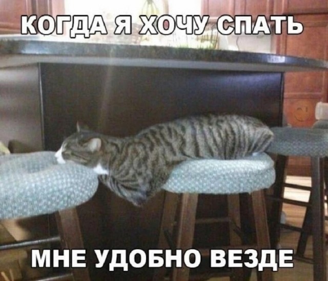 Так себе картинки 22.08.25
