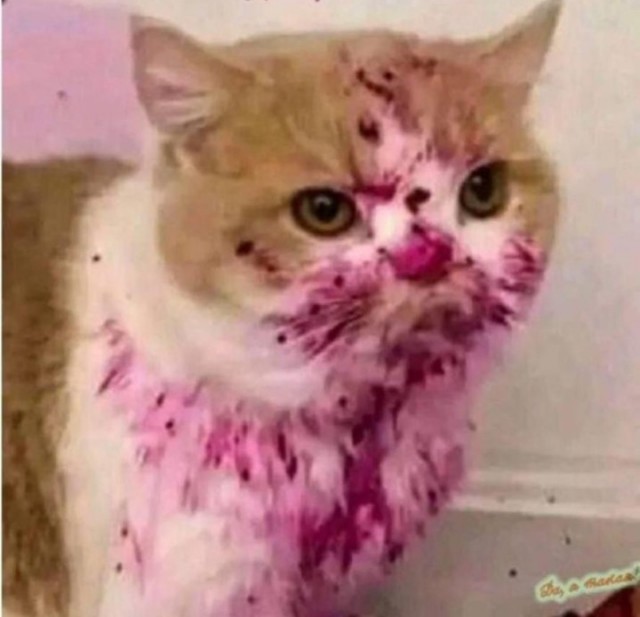 Добытчики