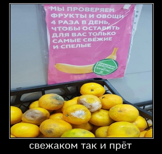Картинки для деградации 89 (разной степени свежести)
