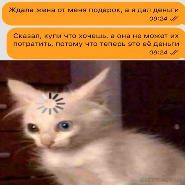 Картинки для деградации 99 (разной степени свежести)