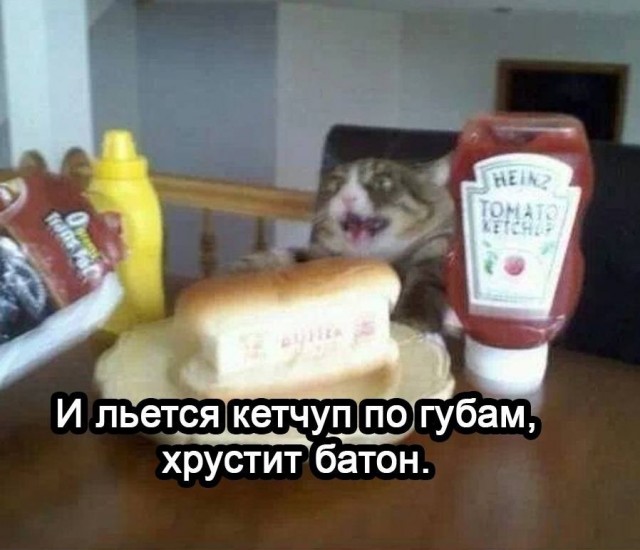 Музыкальный мем
