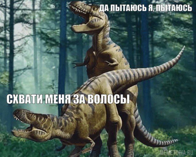 Минутка утренней деградации
