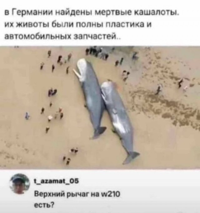 Так себе картинки 18.03.26