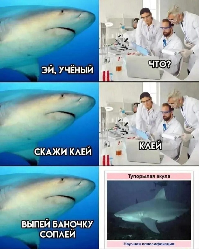 Забористые байаны
