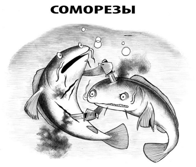 Картинки для деградации 203  (разной степени свежести)