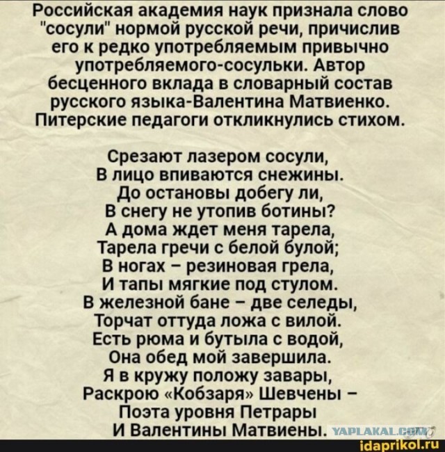 К 35 годам россияне должны успеть родить минимум троих детей, создать семью и состояться в профессии, глава Совфеда Матвиенко