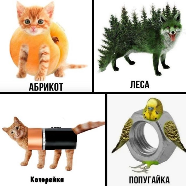 Картинки для деградации 245 (разной степени свежести)