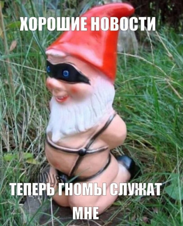 Тупеть надо с комфортом