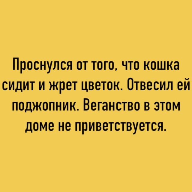 Так себе картинки 31.07.26